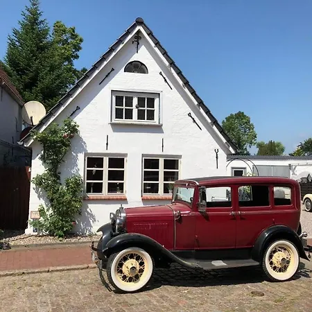 Everschop Tetenbull